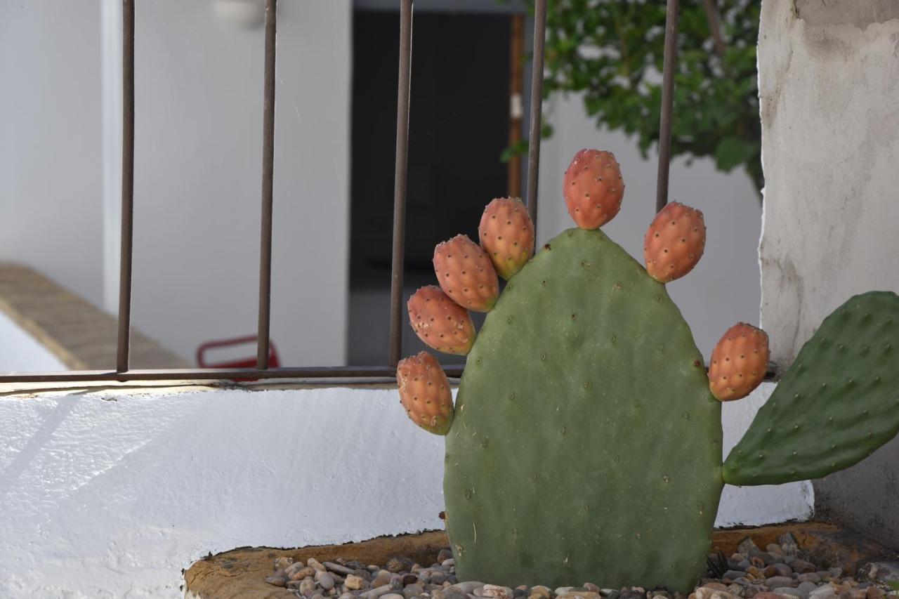 Casa Almara Bed & Breakfast Espejo  ภายนอก รูปภาพ